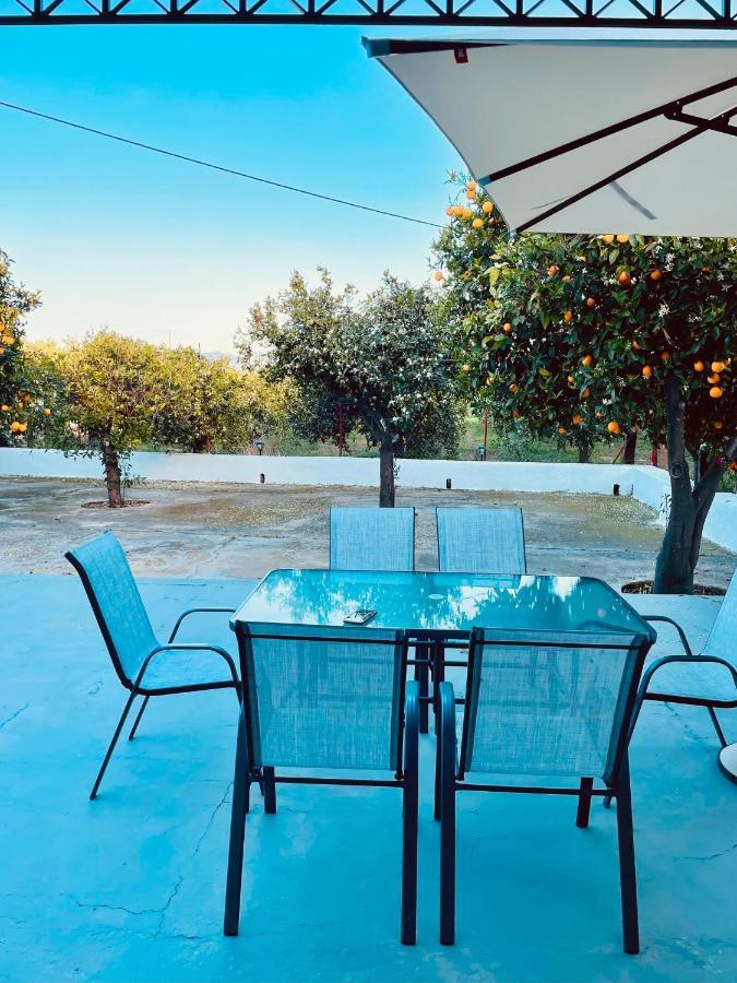 Citrus garden Villa Epidaurus Buitenkant foto