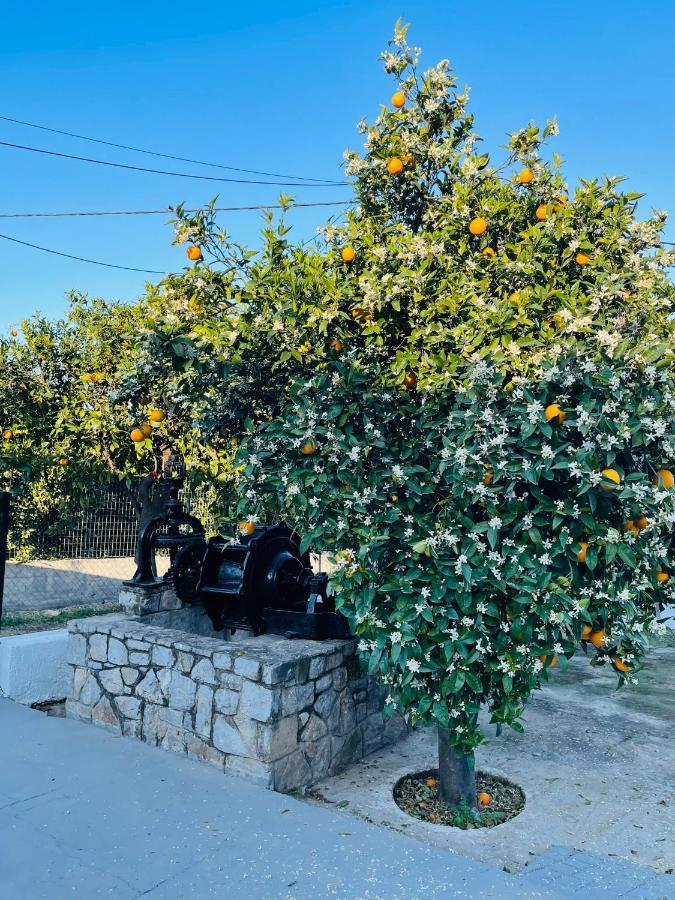 Citrus garden Villa Epidaurus Buitenkant foto