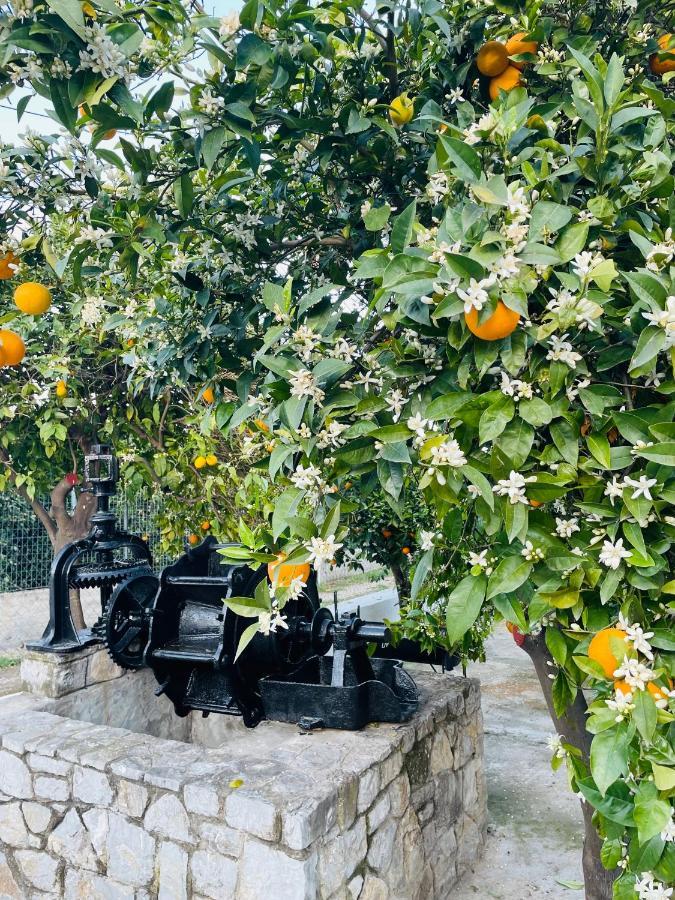 Citrus garden Villa Epidaurus Buitenkant foto