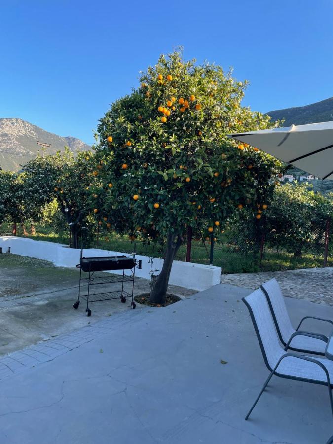 Citrus garden Villa Epidaurus Buitenkant foto